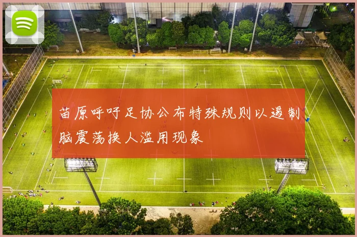 苗原呼吁足协公布特殊规则以遏制脑震荡换人滥用现象