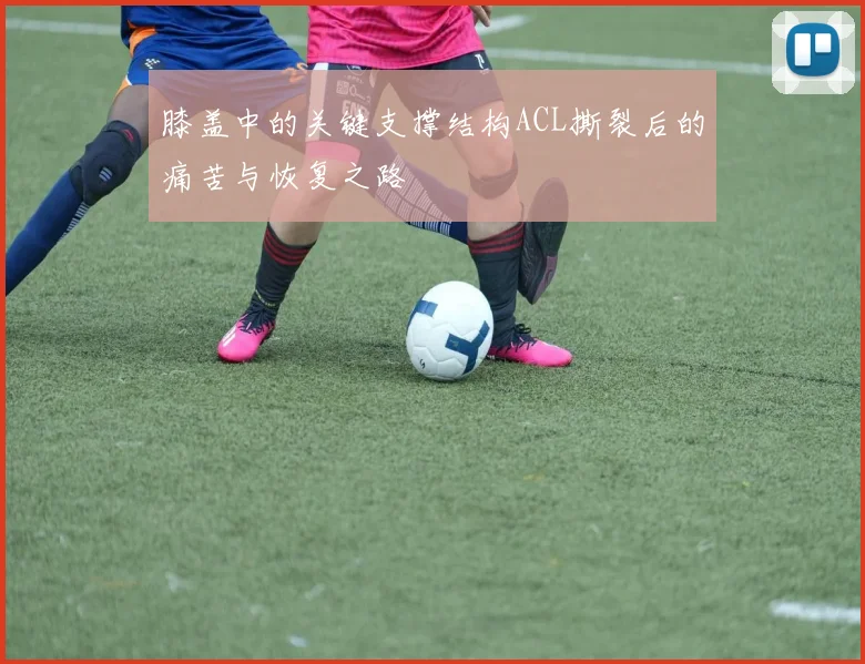 膝盖中的关键支撑结构ACL撕裂后的痛苦与恢复之路