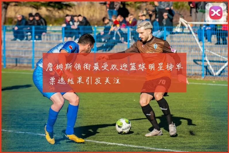 詹姆斯领衔最受欢迎篮球明星榜单 票选结果引发关注