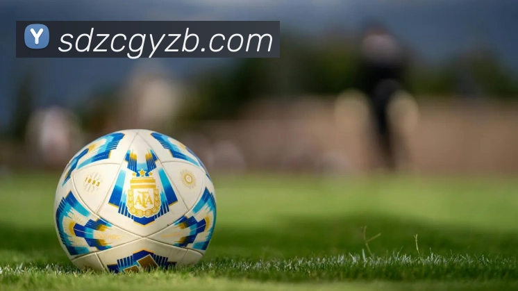 App Interface Preview